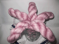 pink frost - переливная замерзшая роза