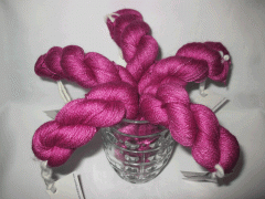 holly hock - переливи колірів мальви